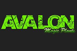  Avalon Magic Plants Rabatt